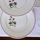 Set of 4 vintage dinner plates from the Salins factory 210636