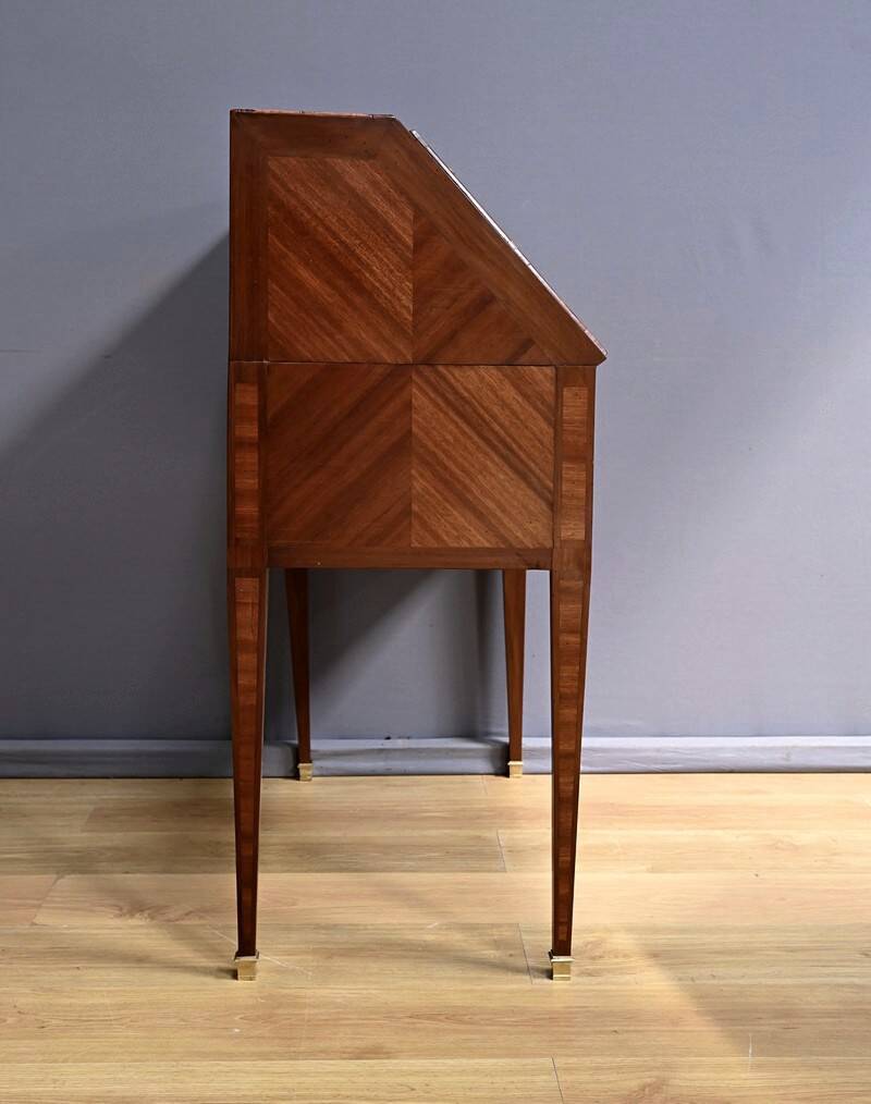 Rosewood and Mahogany Sloping Desk, Louis XVI Style – Mid-19th Century