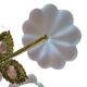 Pair of Banci Florence gold metal and crystal flower wall sconces