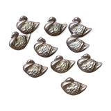 Swan has names