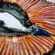Large shell-shaped dish 1950s - 1960s