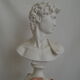 Buste de David en platre