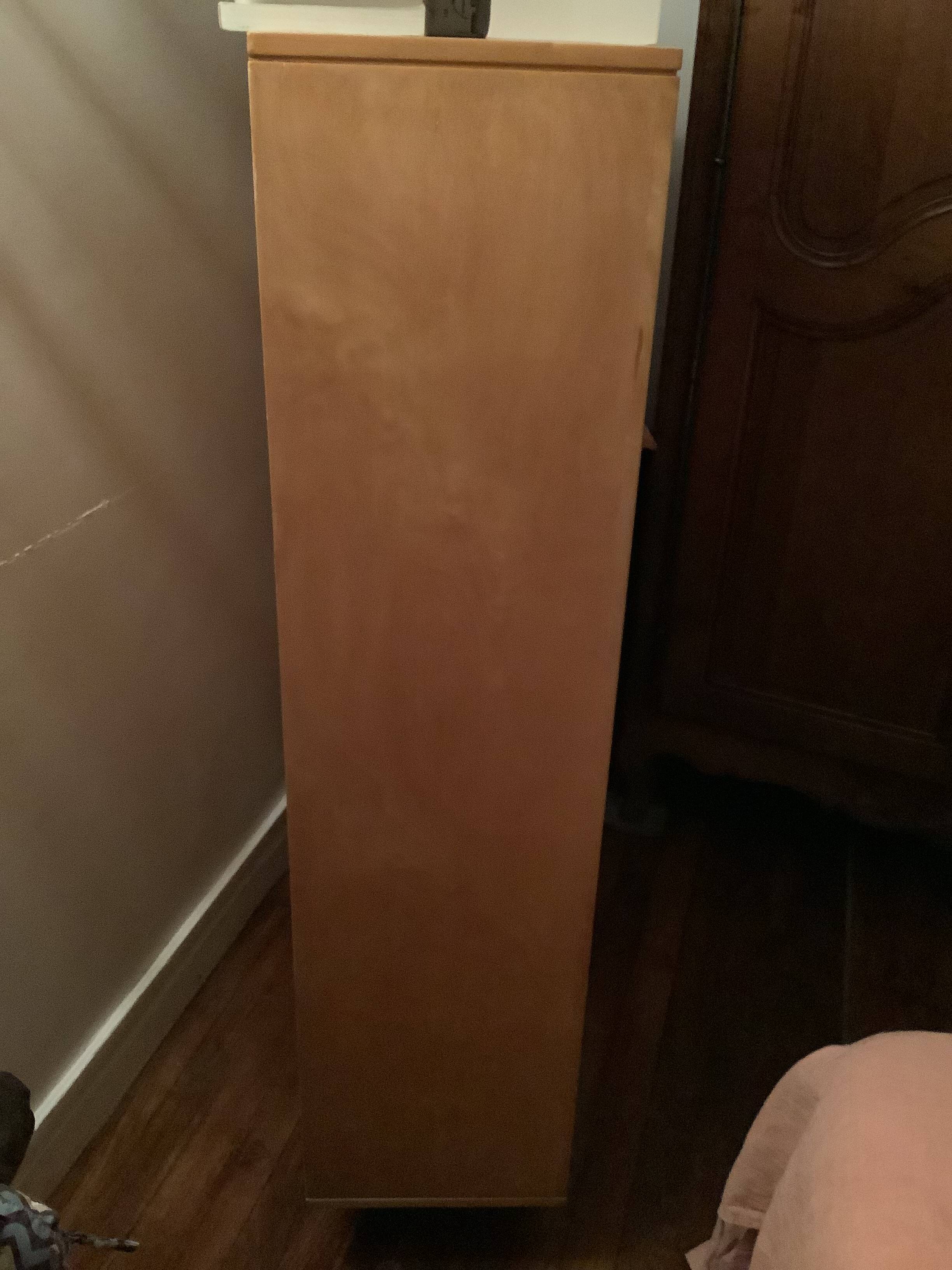 Secretary Cees Braakman BB54 Pastoe