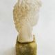 Sculpture Bust of David, Italy 1960s