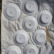 Lot of 10 deep and flat plates Ceranord St Amand model Roubaix +2