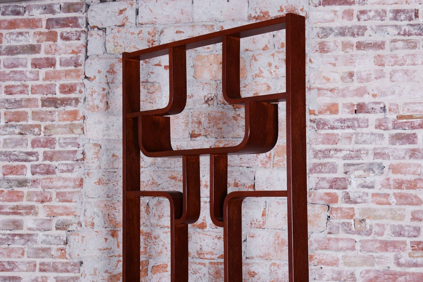 Midcentury Modern Divider by Ludvik Volak, 1960s