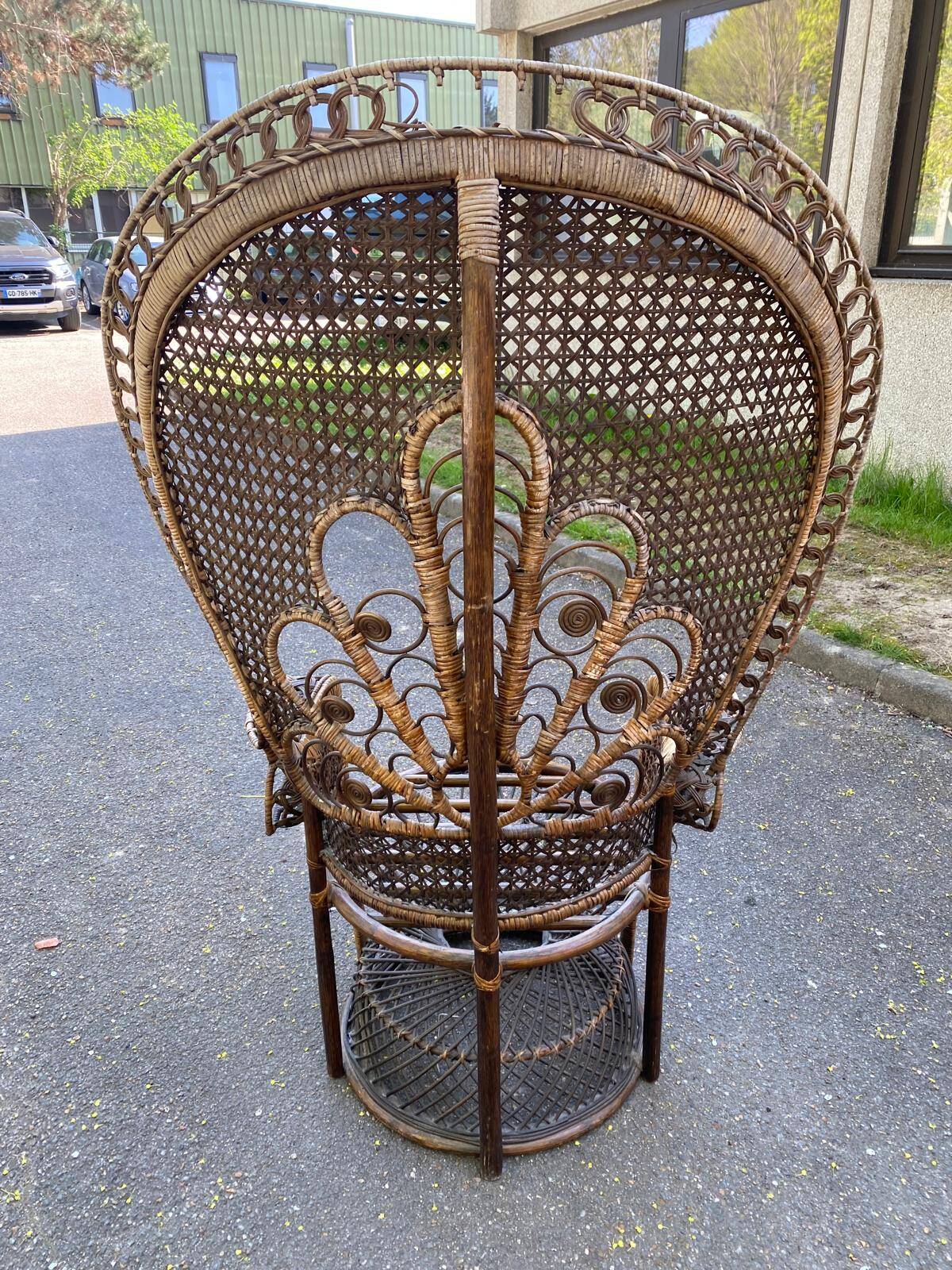 Emmanuelle peacock chair in rattan and wicker