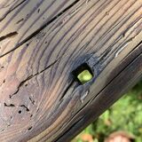 Vintage trestle table