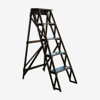 Old library stepladder