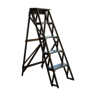 Old library stepladder