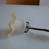 Swan neck wall lamp and its tulip, early 20th century.