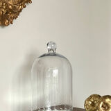 Antique cloche and its tray