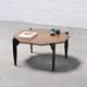 Italian Modernist Coffee Table in Teak and Lacquered Metal, 1950s