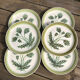 Assiettes plates grès émaillé Gien  «Herbiers»