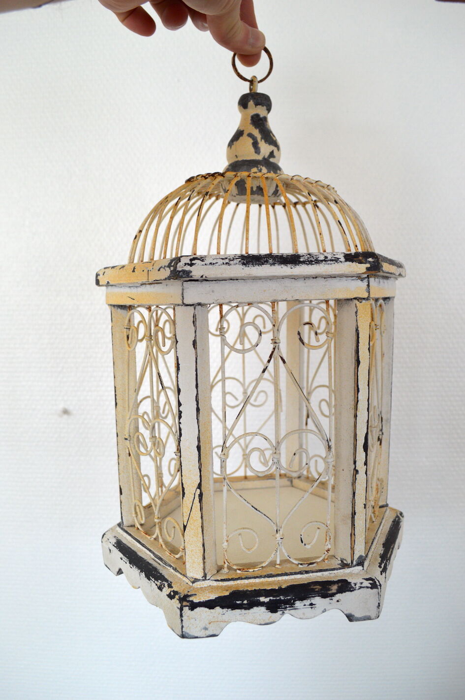Ancient bird cage