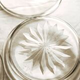 6 Baccarat 1916 oil carafe holders