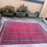 Old Afghan carpet in wool – hand-knotted – tribal patterns – 293 × 186 cm