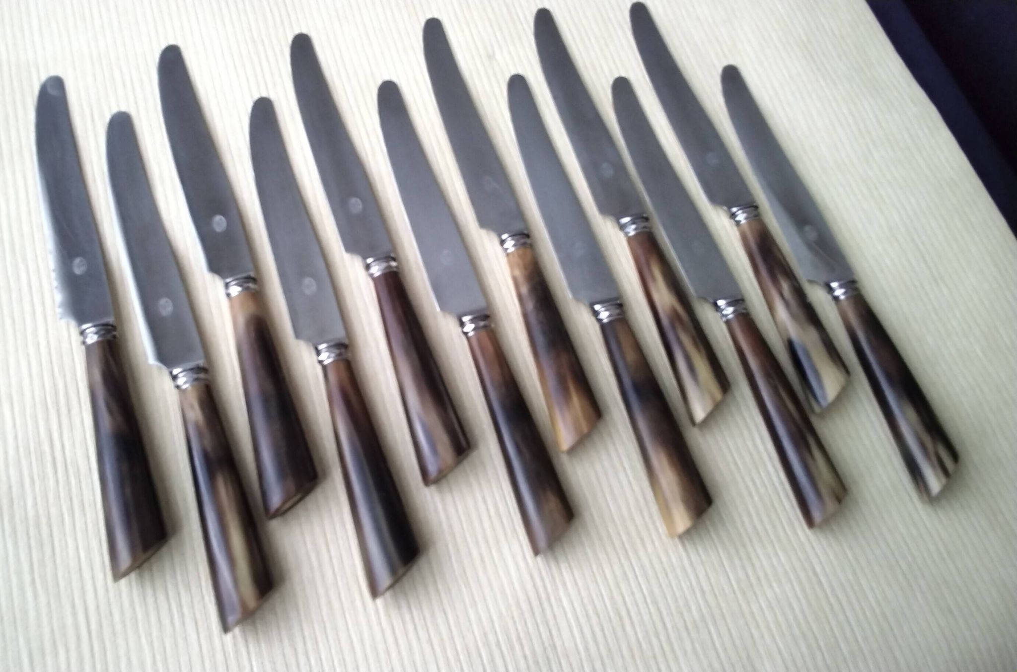 Box of 12 table knives with horn handles, silver-plated metal and stainless steel.