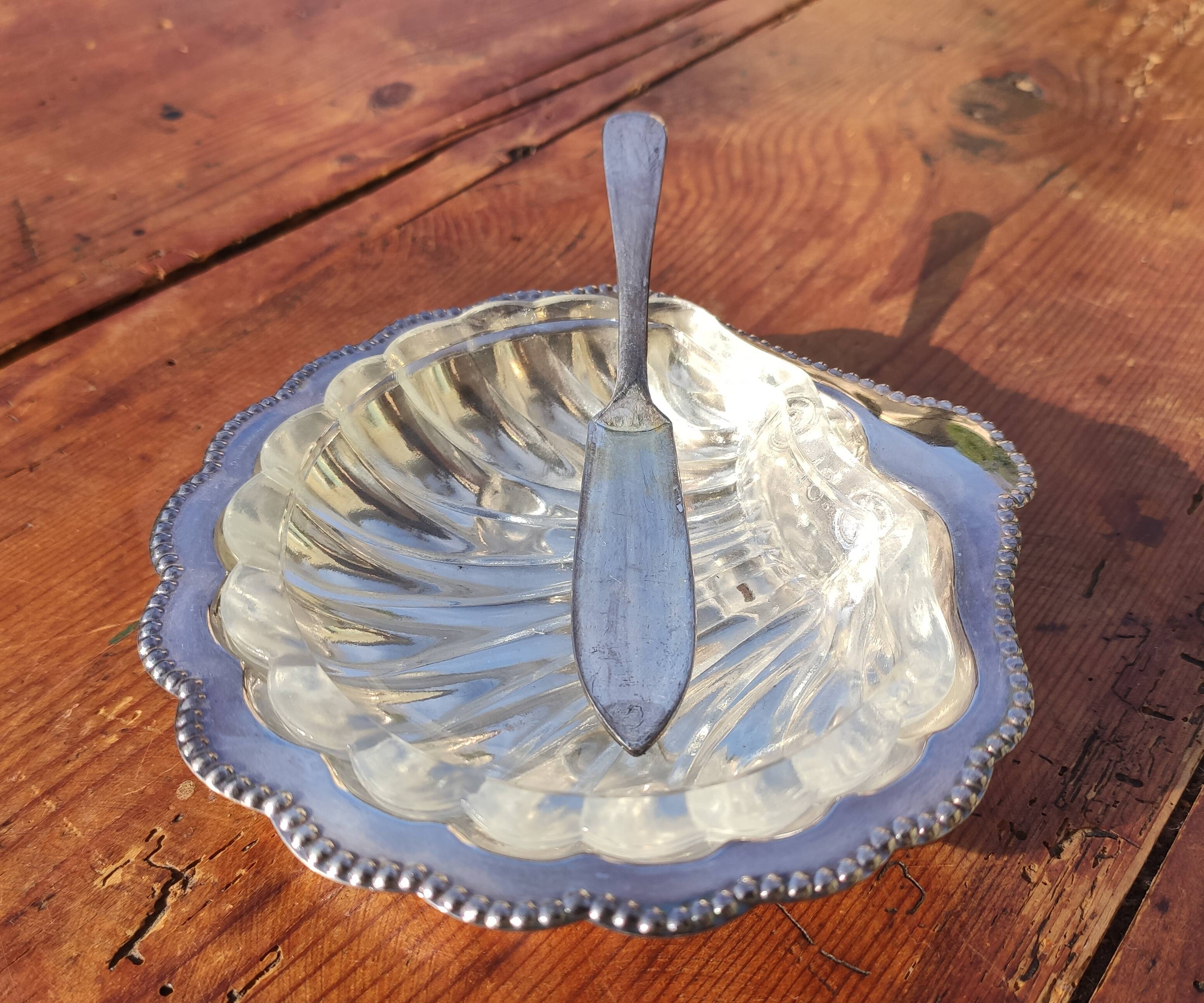 Old shell butter dish