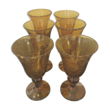 Set of 6 Biot walking glasses