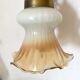 Pair of tulip sconces