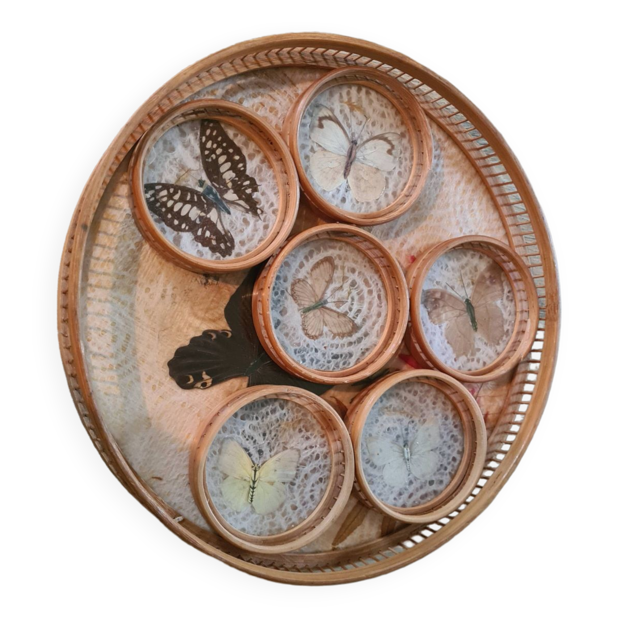 Old bamboo and rattan tray / 6 butterfly coasters / entomology height 4 cm / diameter 28 cm