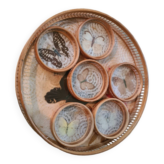 Old bamboo and rattan tray / 6 butterfly coasters / entomology height 4 cm / diameter 28 cm