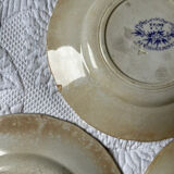 U&G Sarguemines Épine plates