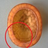 Turtle night light, patinated bronze and glass paste 1980