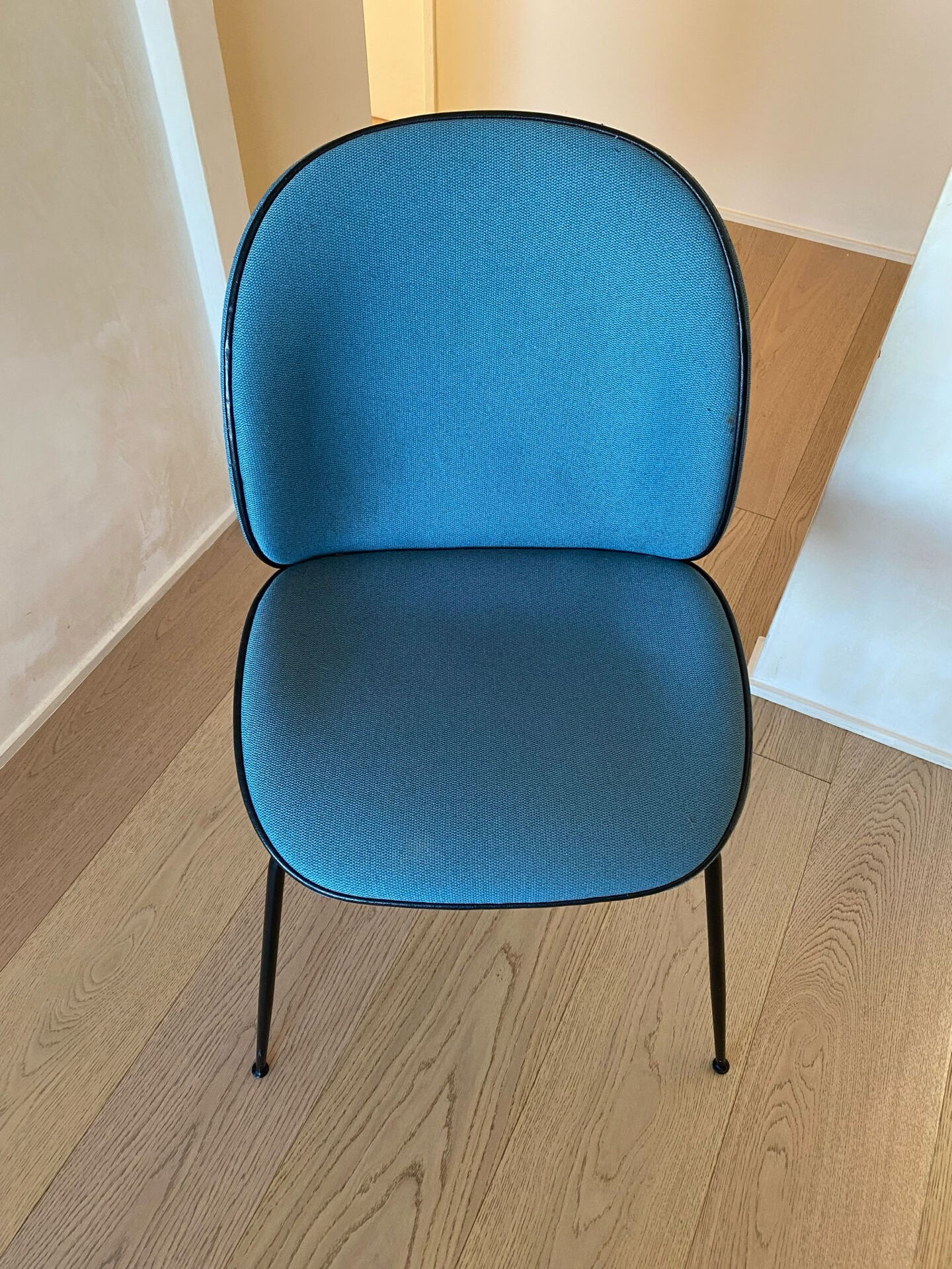 Chaises Gubi, Beetle bleu