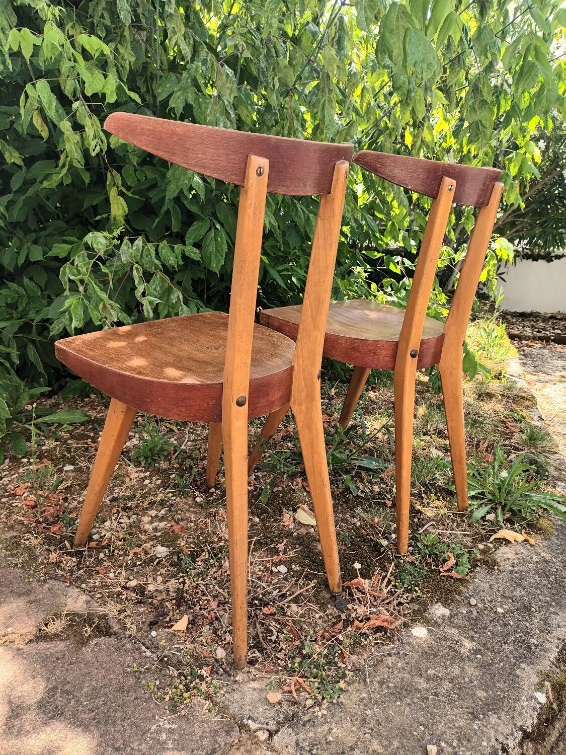 Stella Antelope Chairs