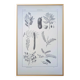 Printed in 1889, legumes. Antique botanical plate.
