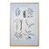 Printed in 1889, legumes. Antique botanical plate.