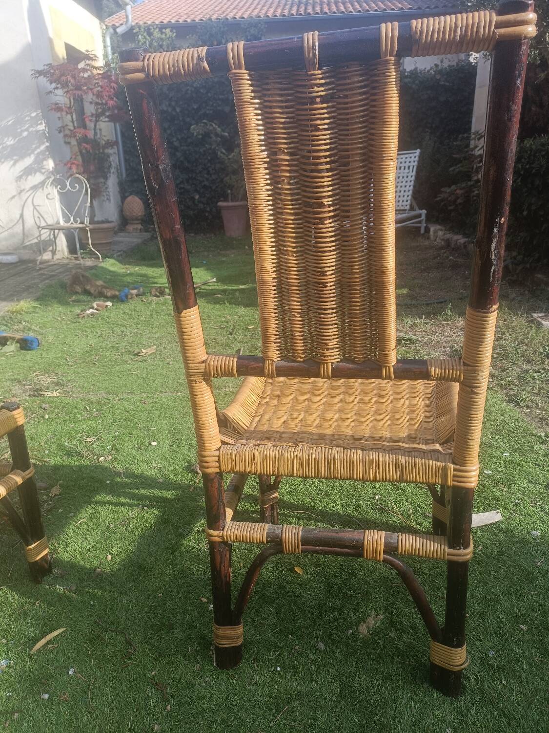 Bamboo and rattan chairs
