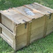 Trunk, natural wood box, very healthy