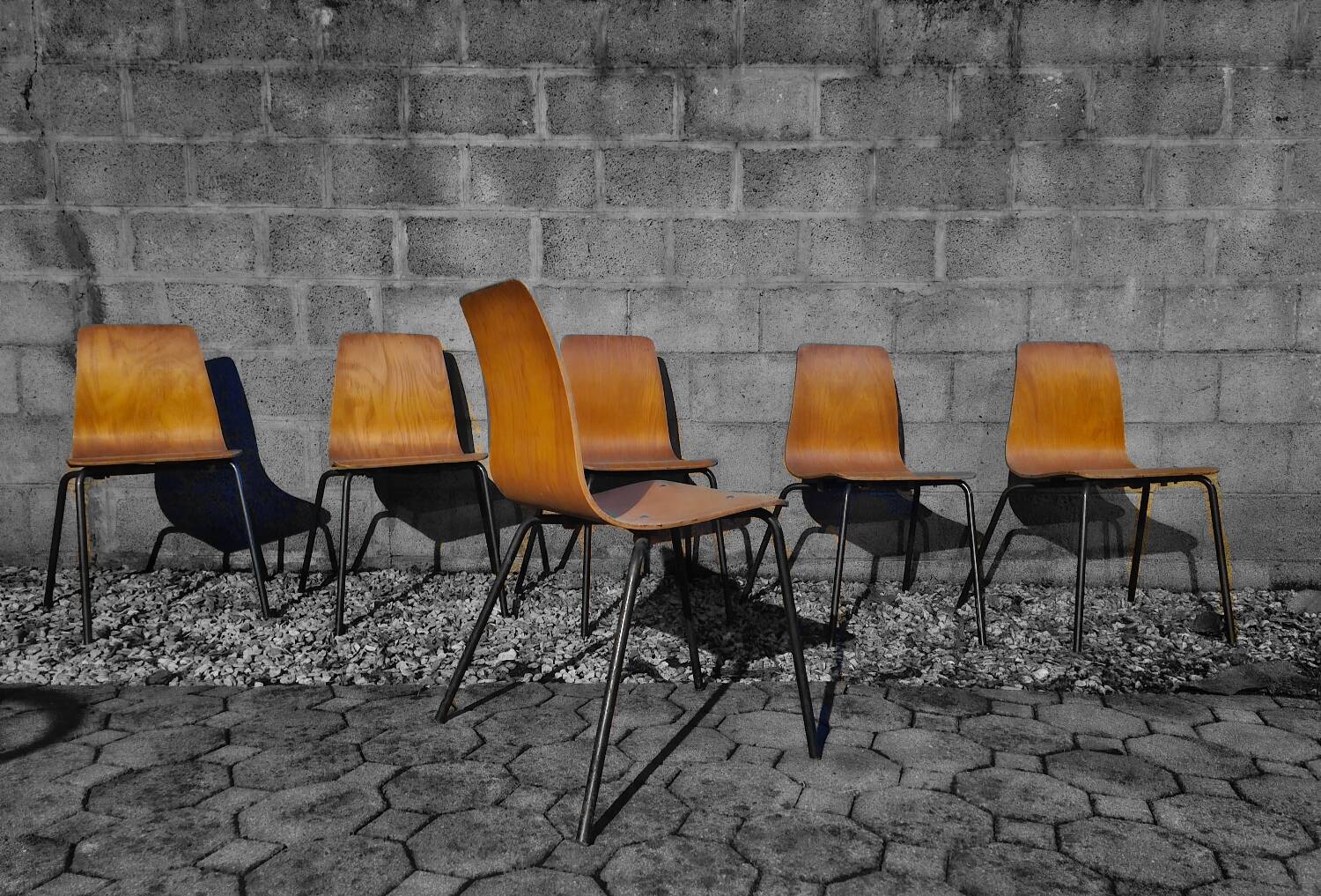Suite de 6 Chaises Pierre Guariche modèle Papyrus Édition Steiner 1950
