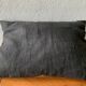 Coussin lin noir brodé