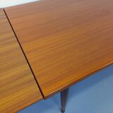 Vintage Scandinavian style dining table from the 50s and 60s in teak with extensions
