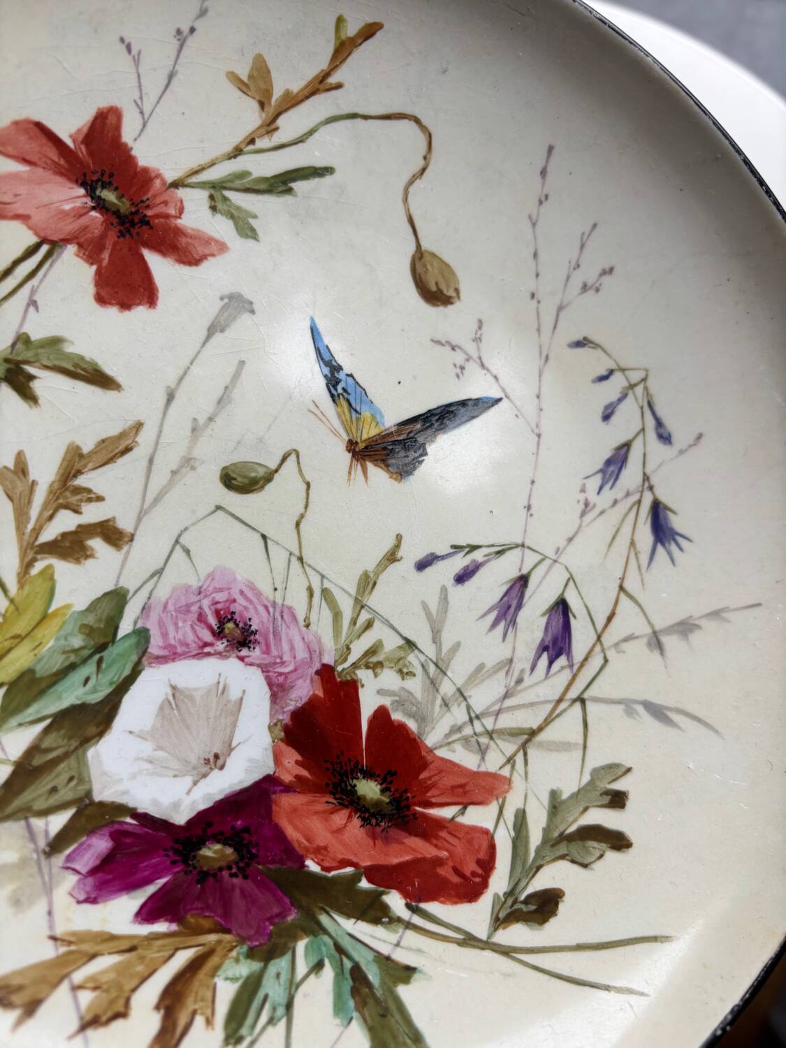 Set of 7 assorted plates