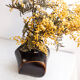 Midcentury teak vase