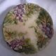 Onnaing barbotine plate - Grape and leaves