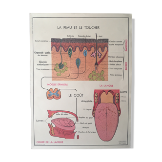 Planche à objet