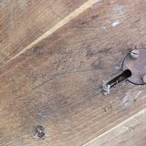 Naturalized deer head - hunting trophy