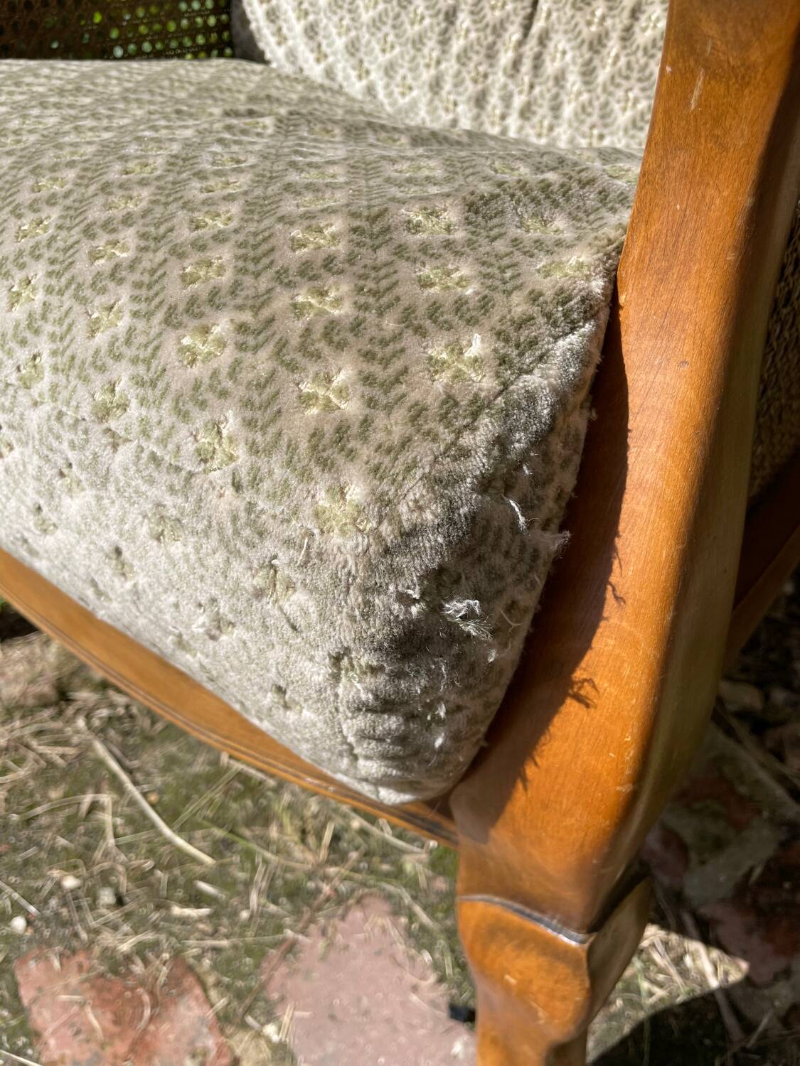 Armchair in wood, cane and velvet