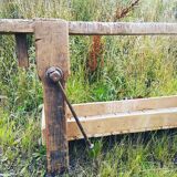 Established old carpenter