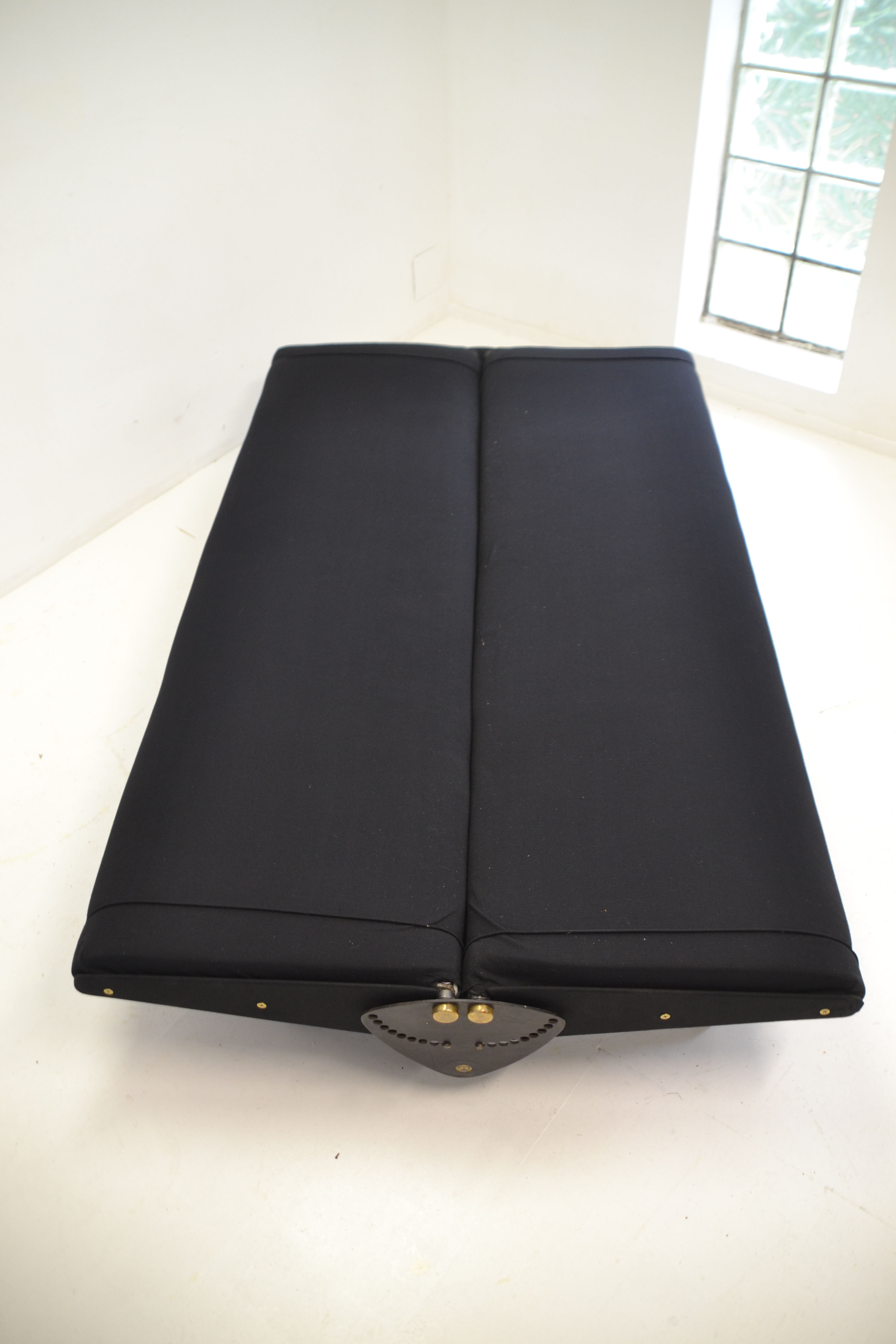 Sofa Osvaldo Borsani model D70 for Tecno 1954