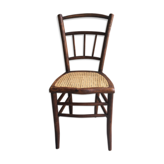 Canine bistro chair