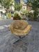 Tulip midi armchair by Pierre Paulin, Artifort edition.