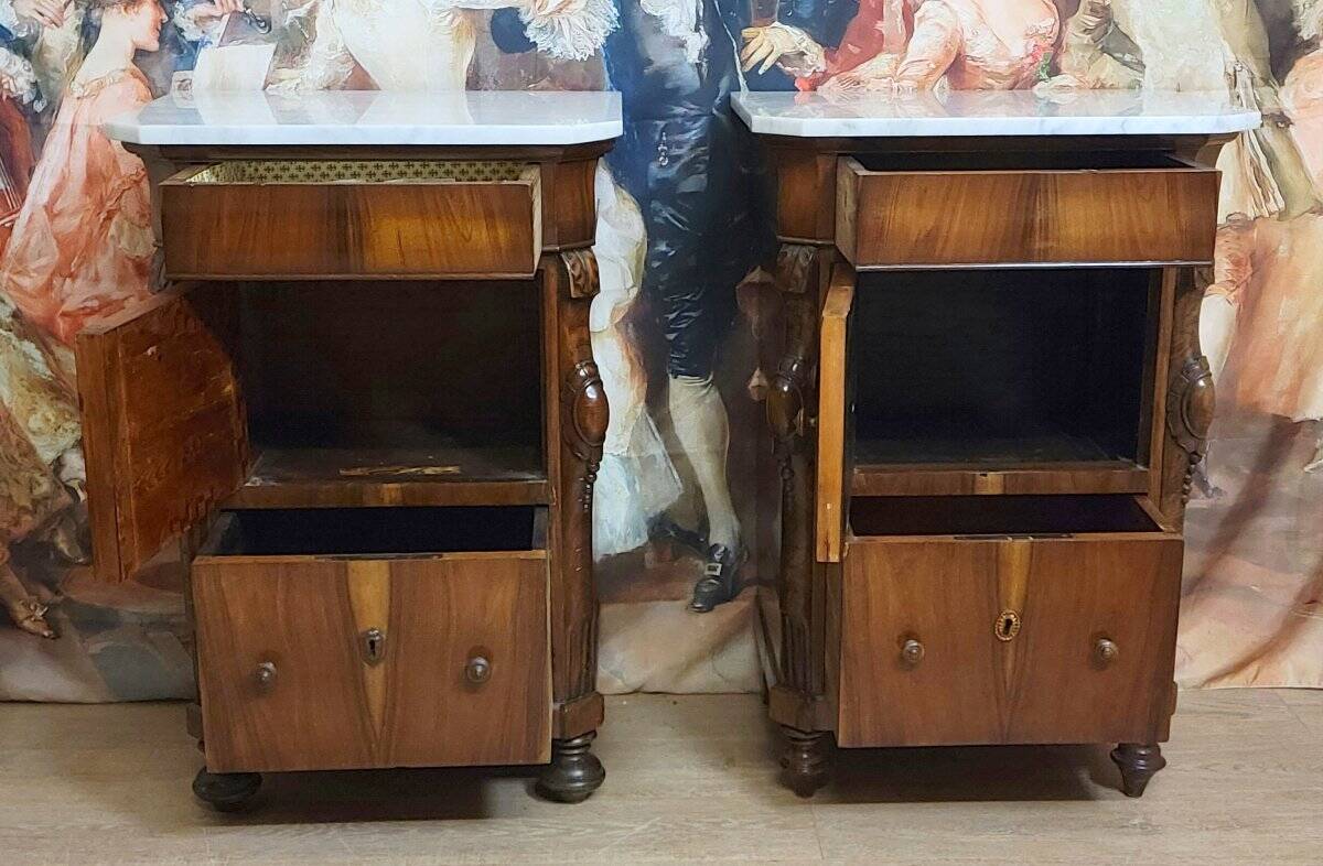 Rare pair of Italian display furniture from the Charles X period in mahogany.