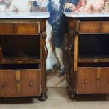 Rare pair of Italian display furniture from the Charles X period in mahogany.